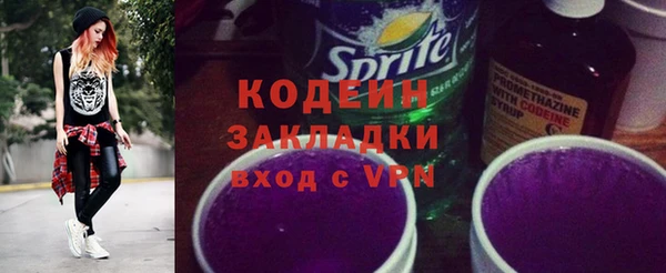 хмурый Вяземский