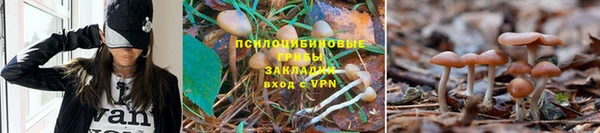 хмурый Вяземский