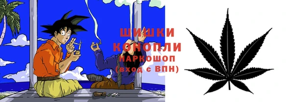 хмурый Вяземский