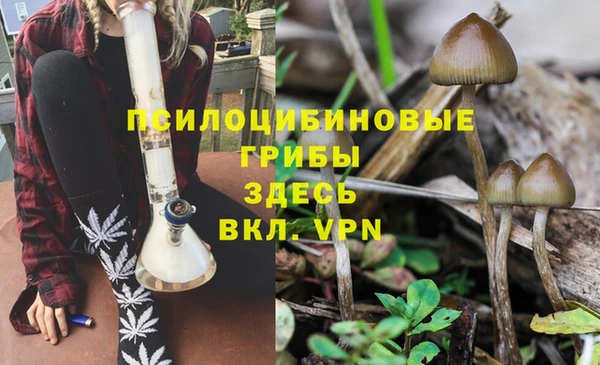 мяу мяу мука Вязьма