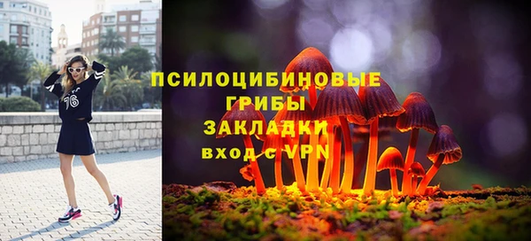мяу мяу мука Вязьма
