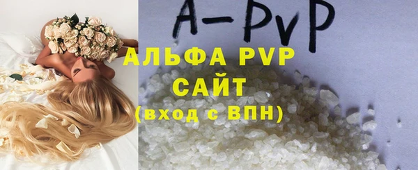 хмурый Вяземский